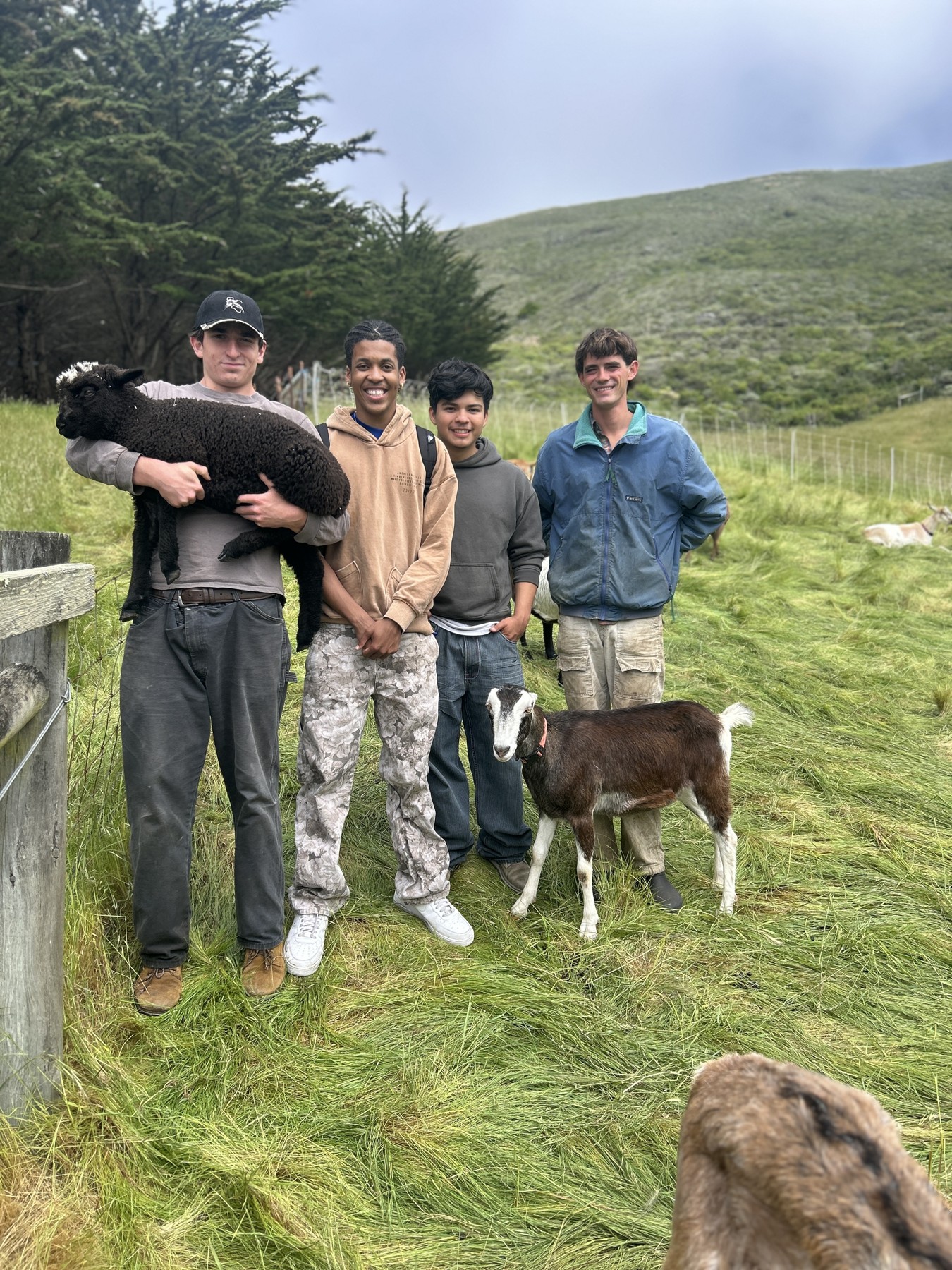 Students in a pasture with farm animals
